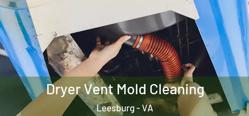  Dryer Vent Mold Cleaning Leesburg - VA