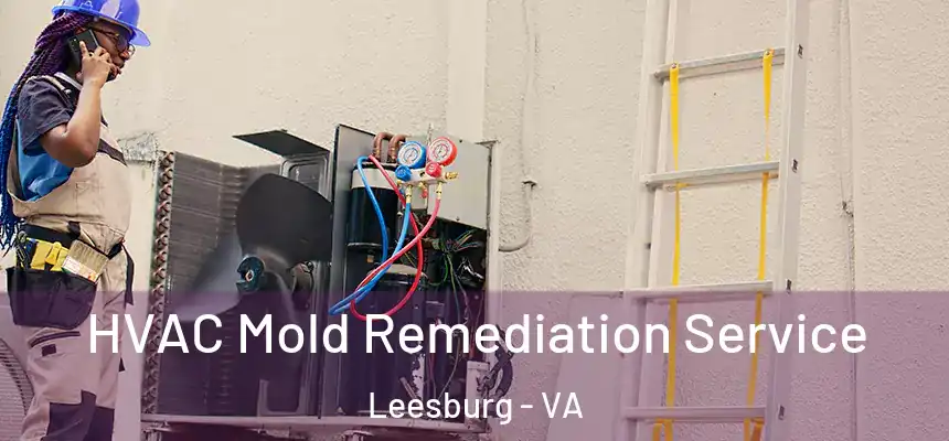  HVAC Mold Remediation Service Leesburg - VA