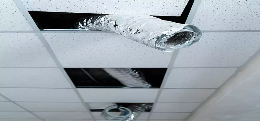 Affordable HVAC Sanitizing After Pest Removal in Leesburg