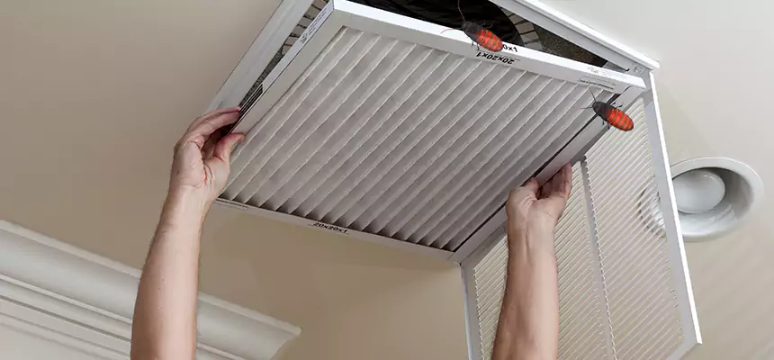Our Insect Removal from Air Ducts Services in Leesburg, VA