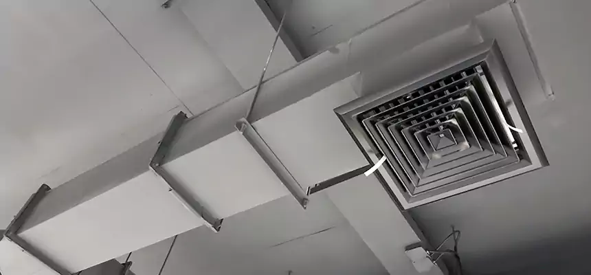 Our Rodent Droppings In Vents Services in Leesburg, VA