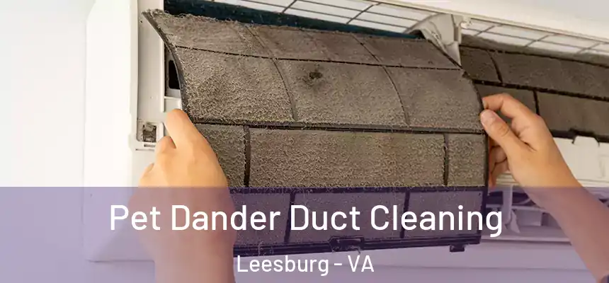  Pet Dander Duct Cleaning Leesburg - VA