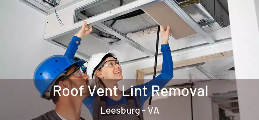 Roof Vent Lint Removal Leesburg - VA