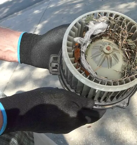 About Air Duct Mice Removal in Leesburg, VA