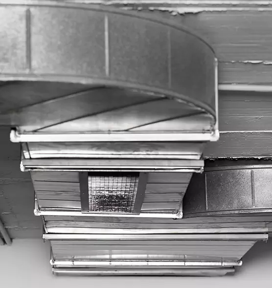 Professional Air Duct Pet Hair Removal in Leesburg, VA