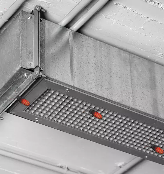 Affordable Insect Removal from Air Ducts in Leesburg, VA