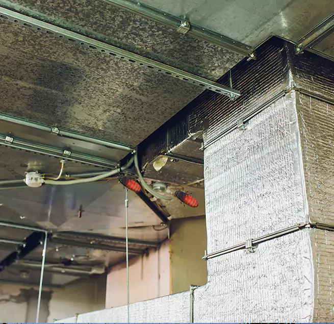 Why Homeowners & Businesses Trust Us in Leesburg, VA?