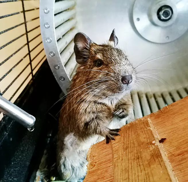 Why Homeowners & Businesses Trust Us Leesburg, VA?